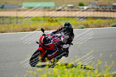 media/May-10-2024-2WTD (Fri) [[c88d7990af]]/Group B/Session 2-The Bowl/